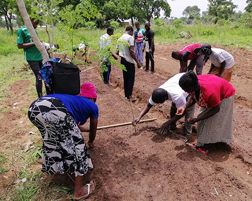 Ferme école Ekofoda au Togo